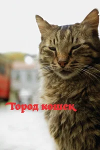  Город кошек  2016