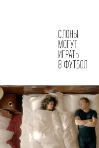  Слоны могут играть в футбол  2018