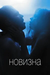  Новизна  2017