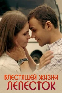  Блестящей жизни лепесток  2016