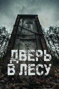  Дверь в лесу  2019