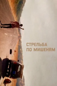 Стрельба по мишеням  2017
