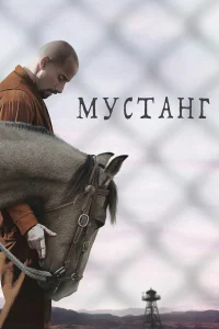  Мустанг  2019