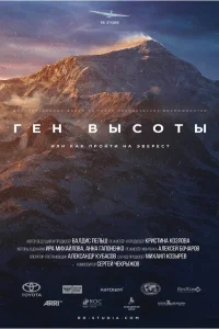 (2017)