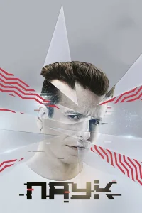 (2017)