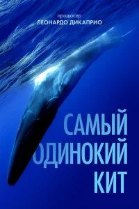  Самый одинокий кит на планете: в поисках Пятидесятидвухгерцового кита  2021