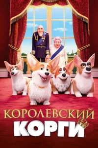  Королевский корги  2019