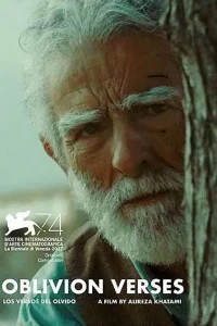  Стихи забвения  2017