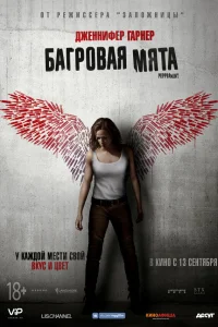  Багровая мята  2018