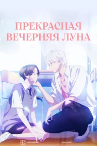  Прекрасная вечерняя луна  2026