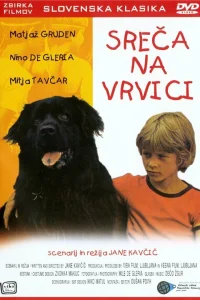  Счастье на поводке  1977