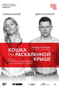  Кошка на раскалённой крыше  2018