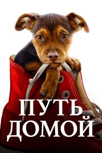  Путь домой  2019