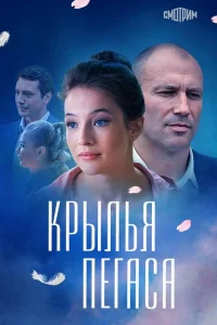 (2017)
