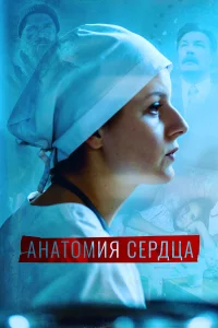  Анатомия сердца  2021