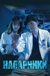  Напарники  2018