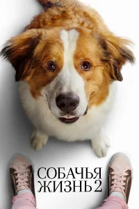  Собачья жизнь 2  2019