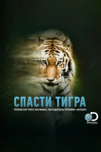  Спасти тигра  2019