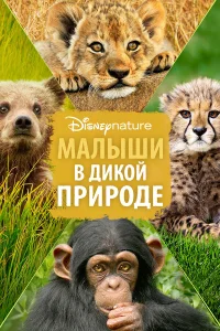  Малыши в дикой природе  2016