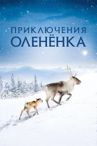  Приключения оленёнка  2018