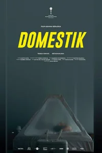  Домашний режим  2018