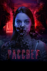  Рассвет  2019