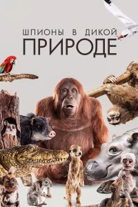  Шпионы в дикой природе  2017