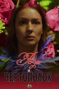  Роза и чертополох  2018