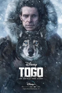  Того  2019