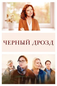  Чёрный дрозд  2019