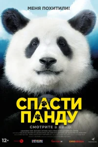  Спасти панду  2020
