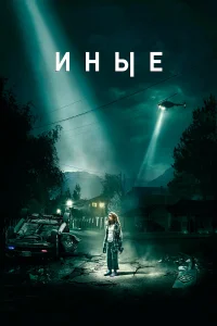  Иные  2018