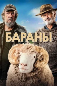  Бараны  2020