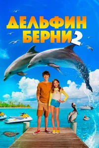  Дельфин Берни 2  2019