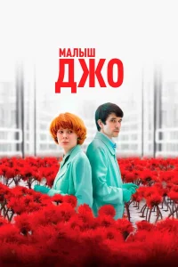  Малыш Джо  2019