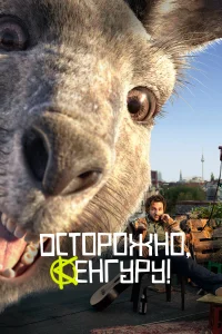  Осторожно, Кенгуру!  2020