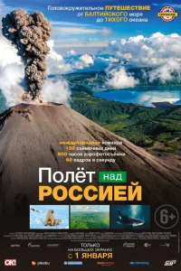 (2019)