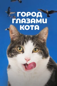  Город глазами кота  2018