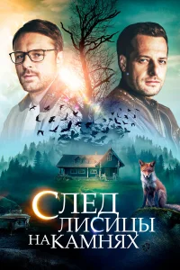 След лисицы на камнях  2019
