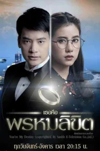 (2017)