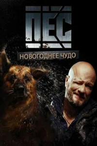  Новогодний пёс  2018