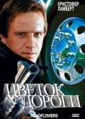  Цветок у дороги  1993