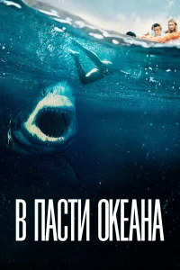  В пасти океана  2021