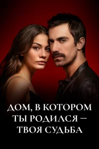  Дом, в котором ты родился - твоя судьба  2019