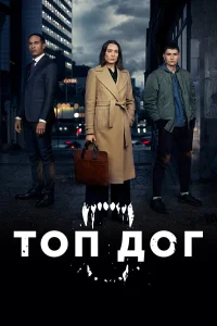  Топ дог  2020