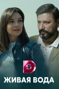 (2019)