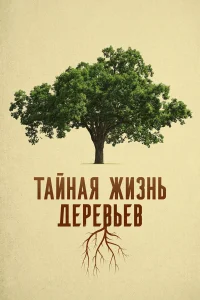  Деревья: гении мира природы  2020