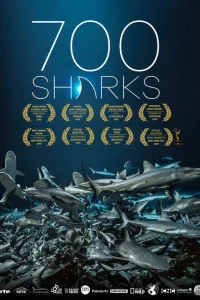  700 акул  2018