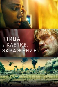  Птица в клетке. Заражение  2020