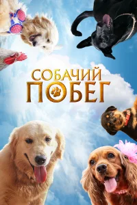  Собачий побег  2023